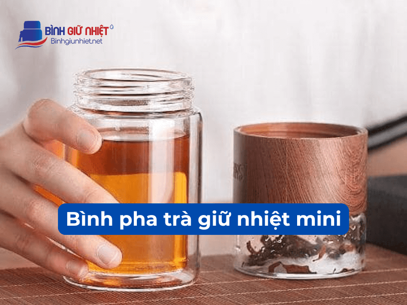 bình pha trà giữ nhiệt mini