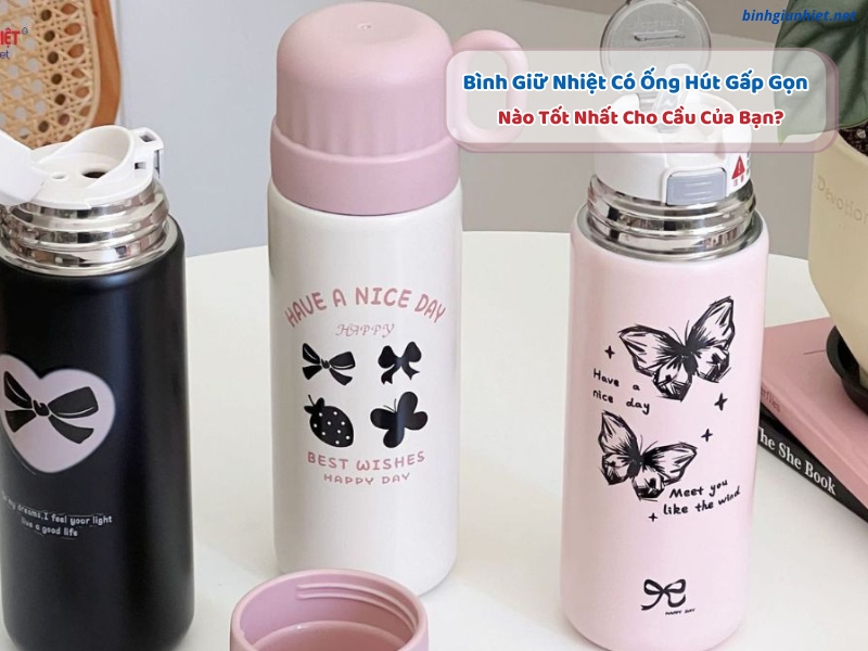 Bình Giữ Nhiệt Có Ống Hút Gấp Gọn Nào Tốt Nhất Cho Cầu Của Bạn? 29 Bình Giữ Nhiệt Có Ống Hút Gấp Gọn Nào Tốt Nhất Cho Cầu Của Bạn?