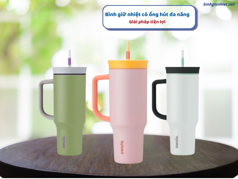 Bình giữ nhiệt có ống hút đa năng binhgiunhietnet