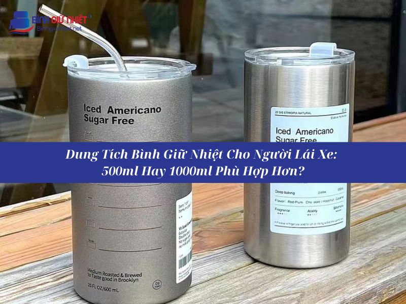 Chọn Bình Giữ Nhiệt Có Ống Hút Dành Cho Người Lái Xe Loại Nào Phù Hợp?