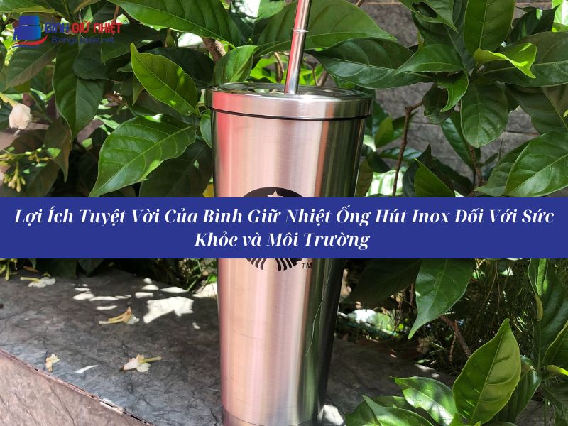 TOP 5 Mẫu Bình Giữ Nhiệt Có Ống Hút Inox Đẹp, Chất Lượng Nhất 2 TOP 5 Mẫu Bình Giữ Nhiệt Có Ống Hút Inox Đẹp, Chất Lượng Nhất