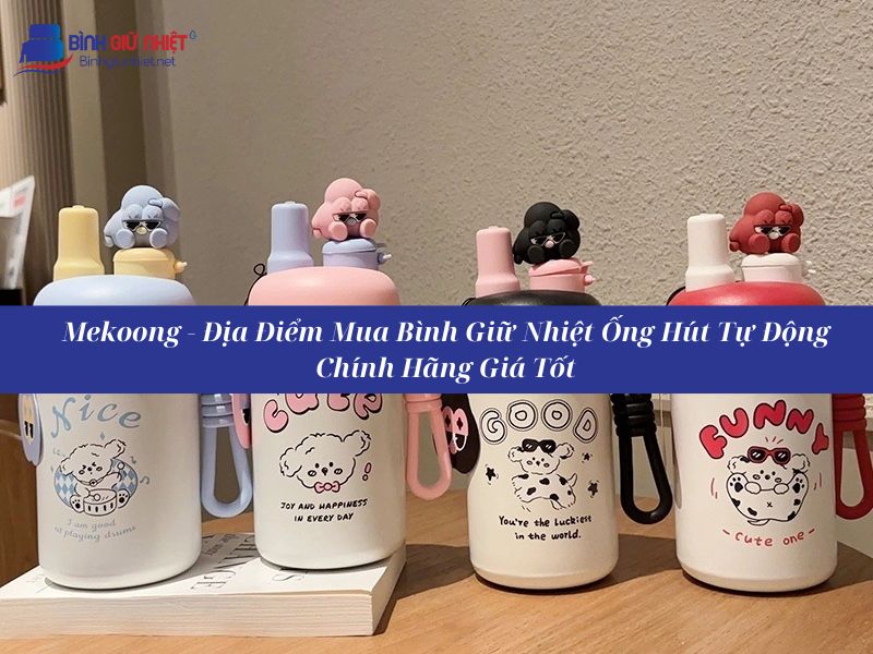 Bình Giữ Nhiệt Có Ống Hút Tự Động Mở Nắp Loại Nào Tốt Nhất Hiện Nay?