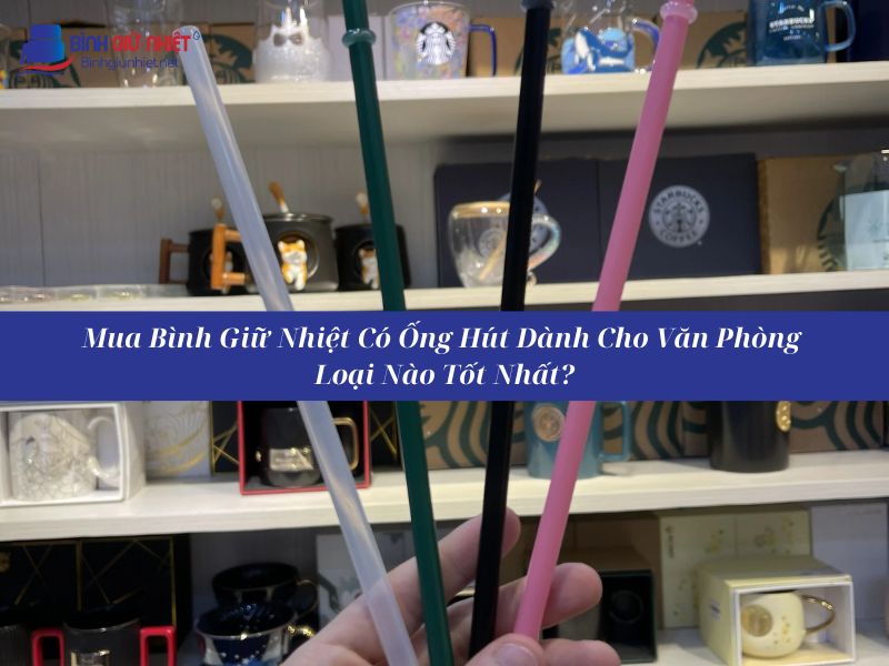 Review Bình Giữ Nhiệt Có Ống Hút Dành Cho Văn Phòng Được Yêu Thích Nhất 