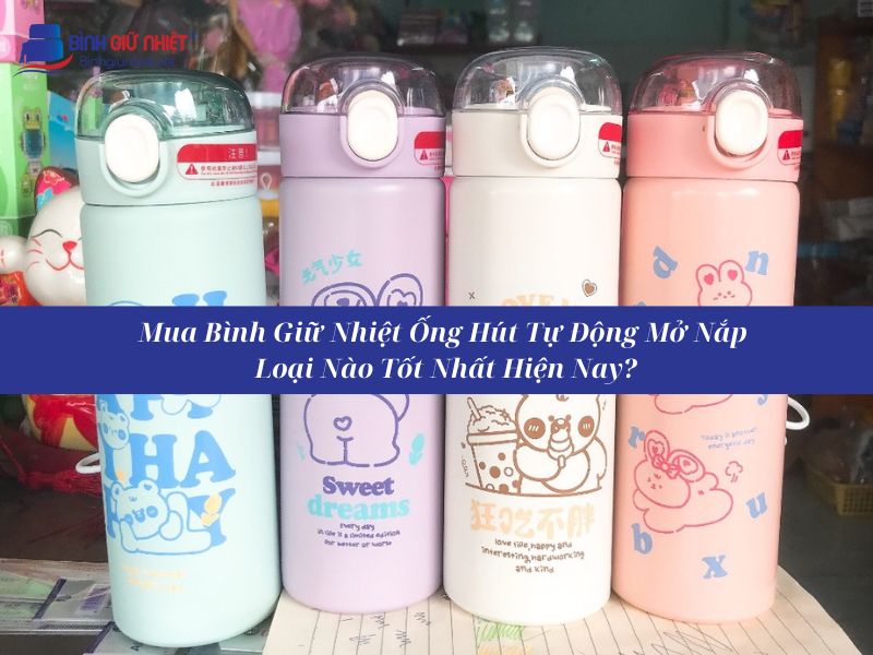 Bình Giữ Nhiệt Có Ống Hút Tự Động Mở Nắp Loại Nào Tốt Nhất Hiện Nay?