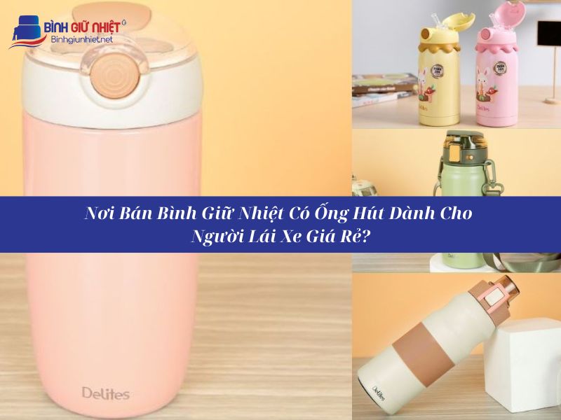 Chọn Bình Giữ Nhiệt Có Ống Hút Dành Cho Người Lái Xe Loại Nào Phù Hợp?