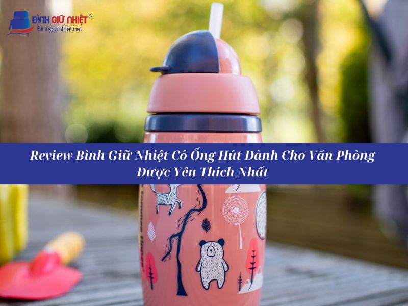 Review Bình Giữ Nhiệt Có Ống Hút Dành Cho Văn Phòng Được Yêu Thích Nhất 