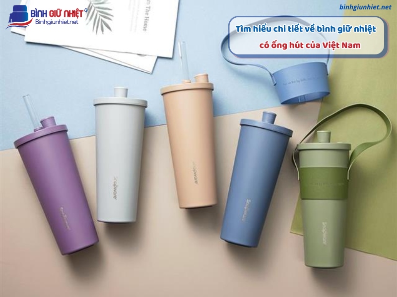 Tìm hiểu chi tiết về bình giữ nhiệt có ống hút của Việt Nam binhgiunhietnet